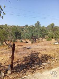 Annonce Vente Terrain Loule