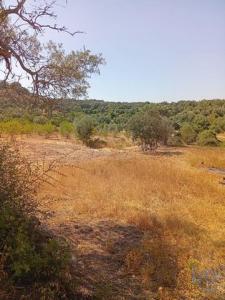 Acheter Terrain 1803 m2 Loule