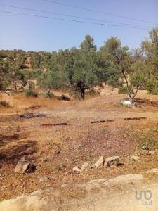 Acheter Terrain Loule rgion FARO