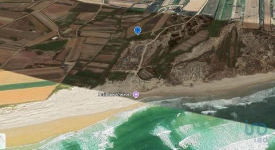 Annonce Vente Terrain Peniche
