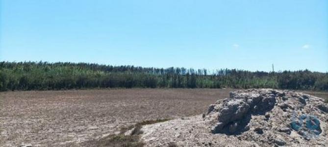 Acheter Terrain Peniche rgion LEIRIA