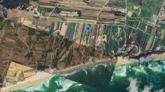 Acheter Terrain Peniche rgion LEIRIA