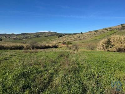 Acheter Terrain Alenquer rgion LISBOA