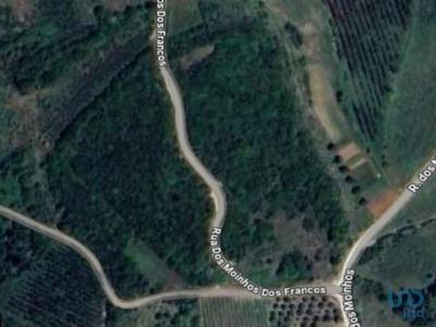 Vente Terrain Alenquer VILA-VERDE-DOS-FRANCOS 11 au Portugal