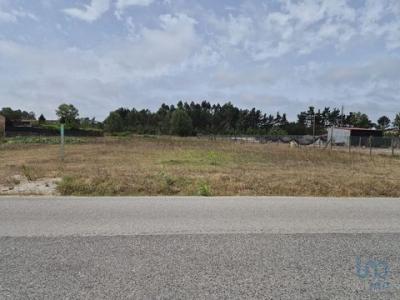 Annonce Vente Terrain Mira