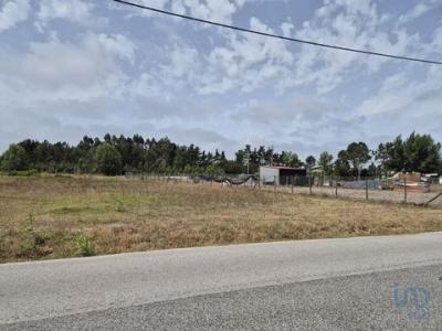 Acheter Terrain 3000 m2 Mira