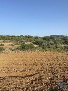 Vente Terrain Faro SANTA-BARBARA-DE-NEXE 08