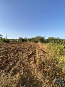 Acheter Terrain Faro rgion FARO