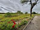 Annonce Vente Terrain BENAVENTE
