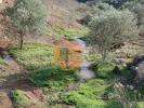 Vente Terrain CASTRO-MARIM 8950