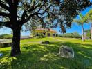 Acheter Immeuble 320 m2 AGUA-FORMOSA