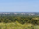 Annonce Vente Terrain LOULE
