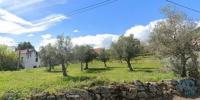 Annonce Vente Terrain BELMONTE