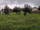 Acheter Terrain 2090 m2 BELMONTE