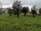 Acheter Terrain BELMONTE rgion CASTELO-BRANCO