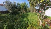 Acheter Terrain 360 m2 PEDROGAO-GRANDE