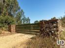 Annonce Vente Terrain ODEMIRA