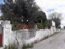 Acheter Terrain MACAO rgion SANTAREM