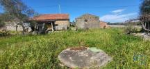 Annonce Vente Terrain ALEM-DA-RIBEIRA