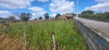 Acheter Terrain ALEM-DA-RIBEIRA rgion SANTAREM