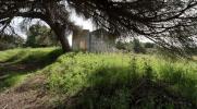 Acheter Terrain LAGOA rgion LEIRIA