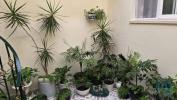 Acheter Maison RIO-MAIOR rgion SANTAREM