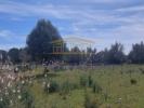 Annonce Vente Terrain ALBUFEIRA