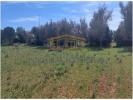 Acheter Terrain 21790 m2 ALBUFEIRA