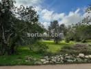 Annonce Vente Terrain SAO-BRAS-DE-ALPORTEL