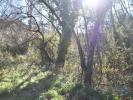 Acheter Terrain 5100 m2 ABADES