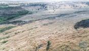 Acheter Terrain 32767 m2 SANTIAGO-MAIOR