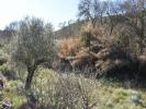 Annonce Vente Terrain ABADES