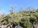 Acheter Terrain 2840 m2 ABADES