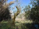 Acheter Terrain ABADES rgion SANTAREM