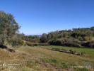 Acheter Terrain ALCOBACA rgion LEIRIA