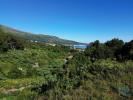 Vente Maison LAJES-DO-PICO 9930