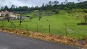 Annonce Vente Terrain PORTO-DE-MOS