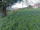 Annonce Vente Terrain PENELA
