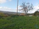 Acheter Terrain PENELA rgion COIMBRA