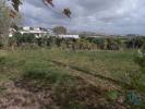Acheter Terrain 1122 m2 LOURINHA