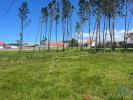 Acheter Terrain 5630 m2 ESPOSENDE