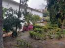 Annonce Vente Maison FUNDAO