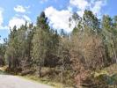 Acheter Terrain ABADES rgion SANTAREM