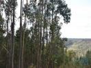 Annonce Vente Terrain ABADES