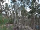 Acheter Terrain 7590 m2 ABADES