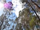 Acheter Terrain ABADES rgion SANTAREM