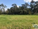 Acheter Terrain 200 m2 VAGOS