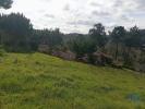 Acheter Terrain PENELA rgion COIMBRA