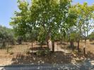 Annonce Vente Terrain ALBUFEIRA