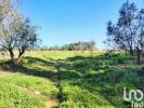 Acheter Terrain 27508 m2 LOURINHA